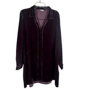 Sundance Velvet Dream Tunic Top Button Down Long Sleeve Rayon /Silk Blend